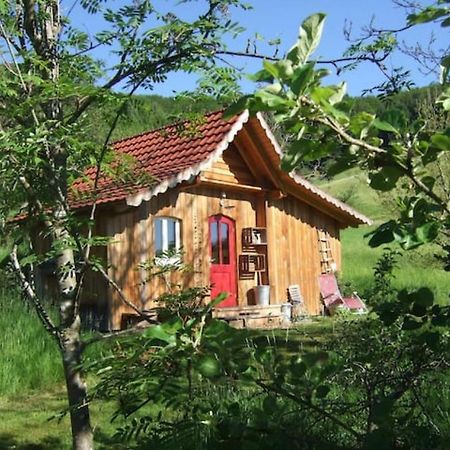 Sonniges-Naturnahes-Schwarzwald-Ferienhaeuschen Welschensteinach Экстерьер фото