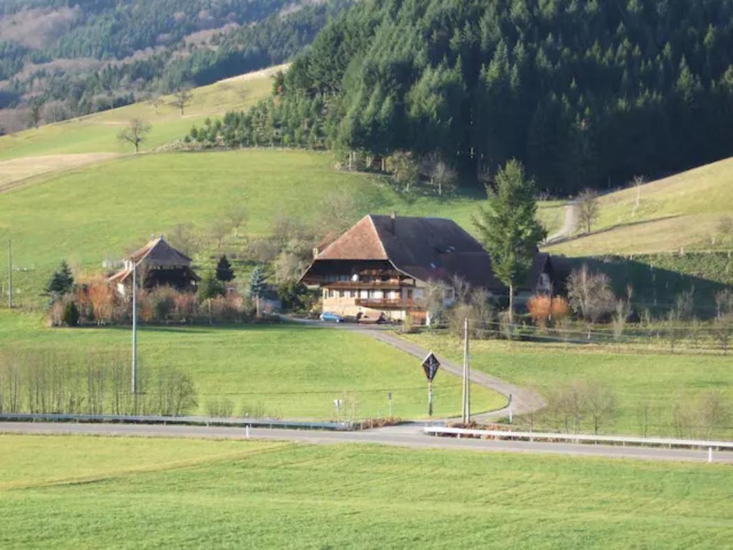 Sonniges-Naturnahes-Schwarzwald-Ferienhaeuschen Welschensteinach Экстерьер фото